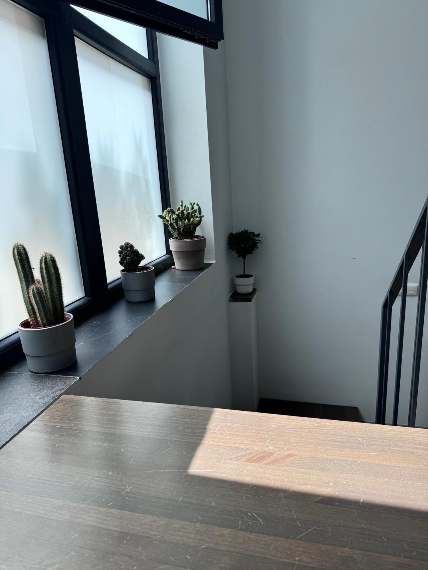 Appartement Sumaloft Prensa à Málaga Extérieur photo